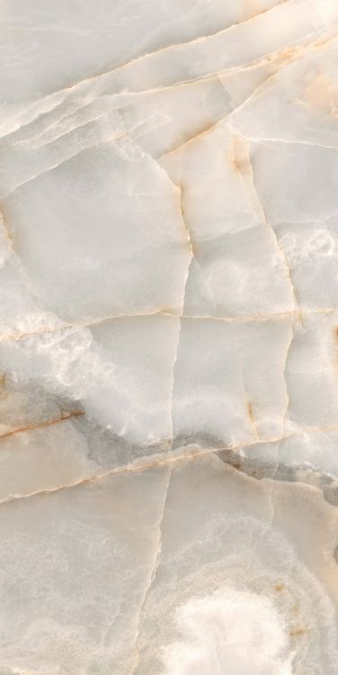 Reves Noisette Matte 24 x 48